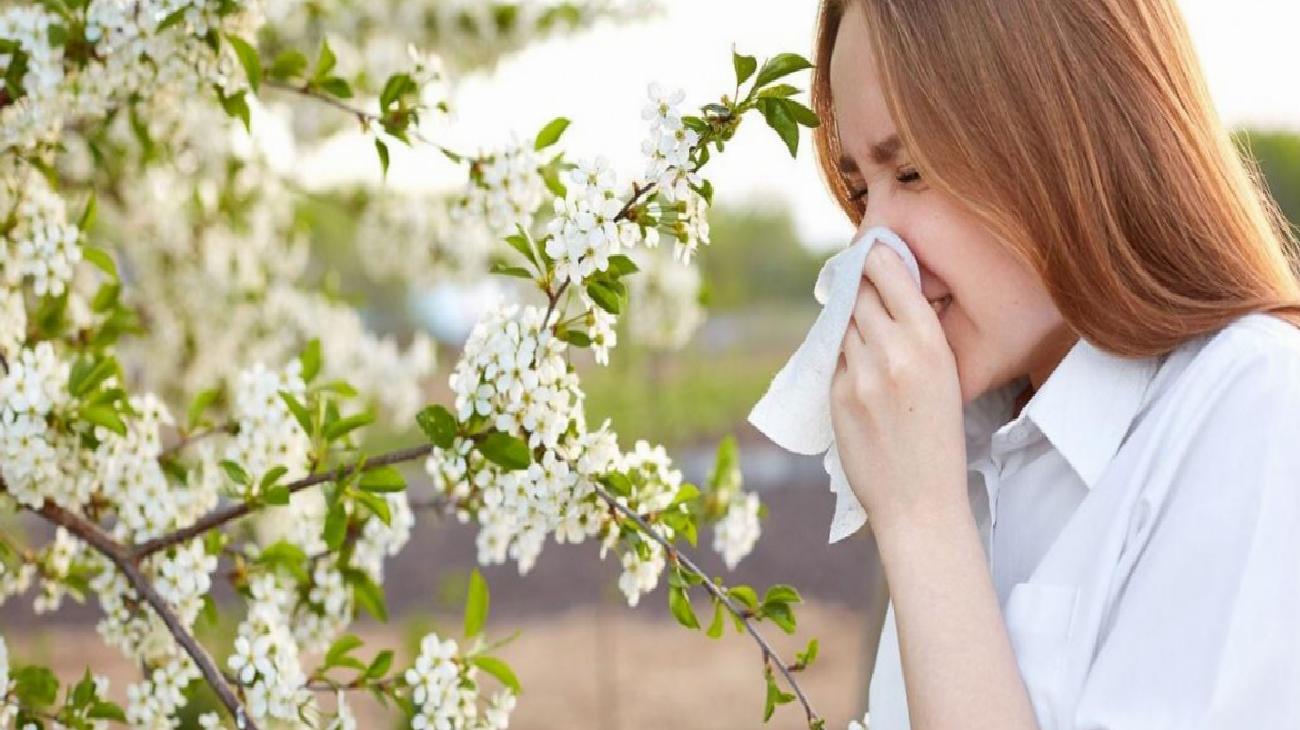 Polen Alerjisi Nedir ve Belirtileri Nelerdir?