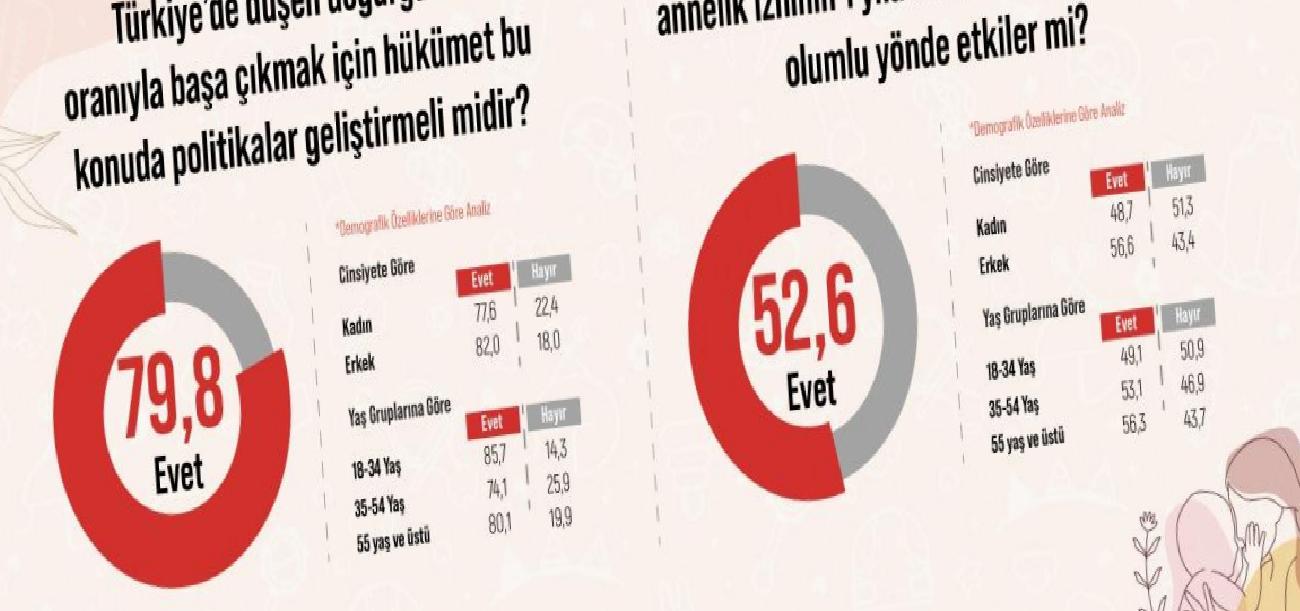 Areda Survey Araştırması: Düşen Doğurganlık Oranı ve Hükümet Politikaları