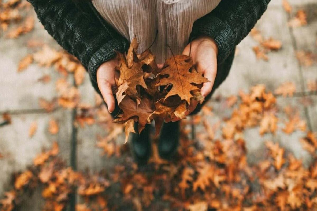 Sonbahar Etkinlikleri ile Aileyle Eğlenceli Zaman Geçirme Fikirleri