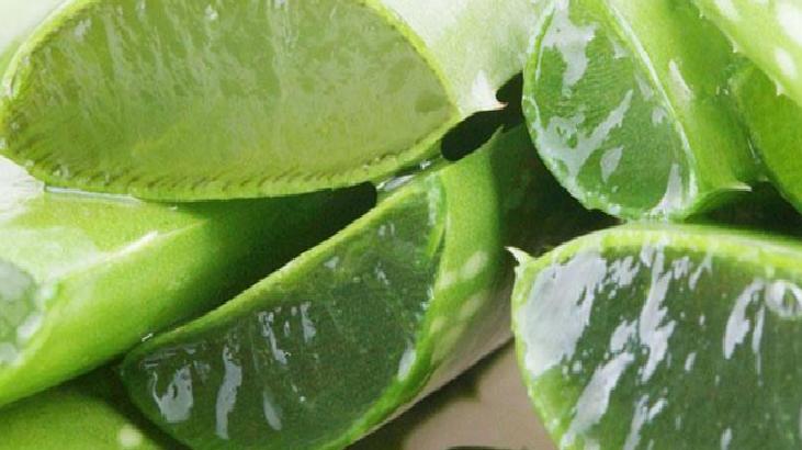 Aloe Vera'nın Cilde Faydaları