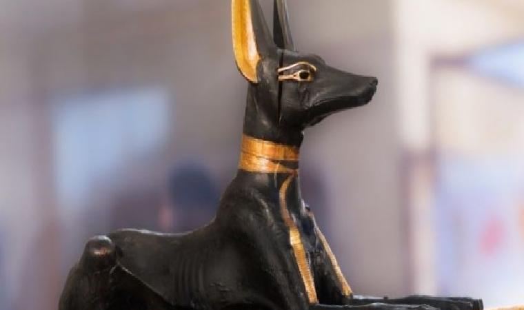 Anubis Kimdir?