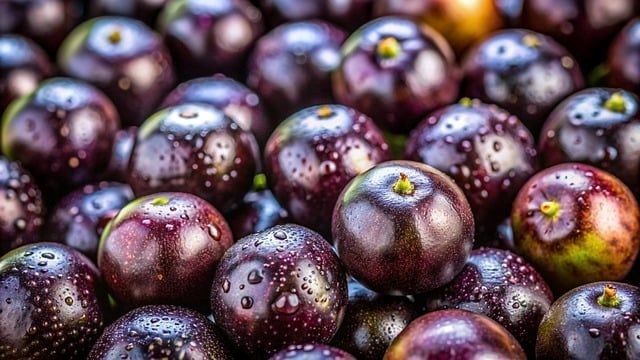 Jabuticaba: Faydaları ve Özellikleri