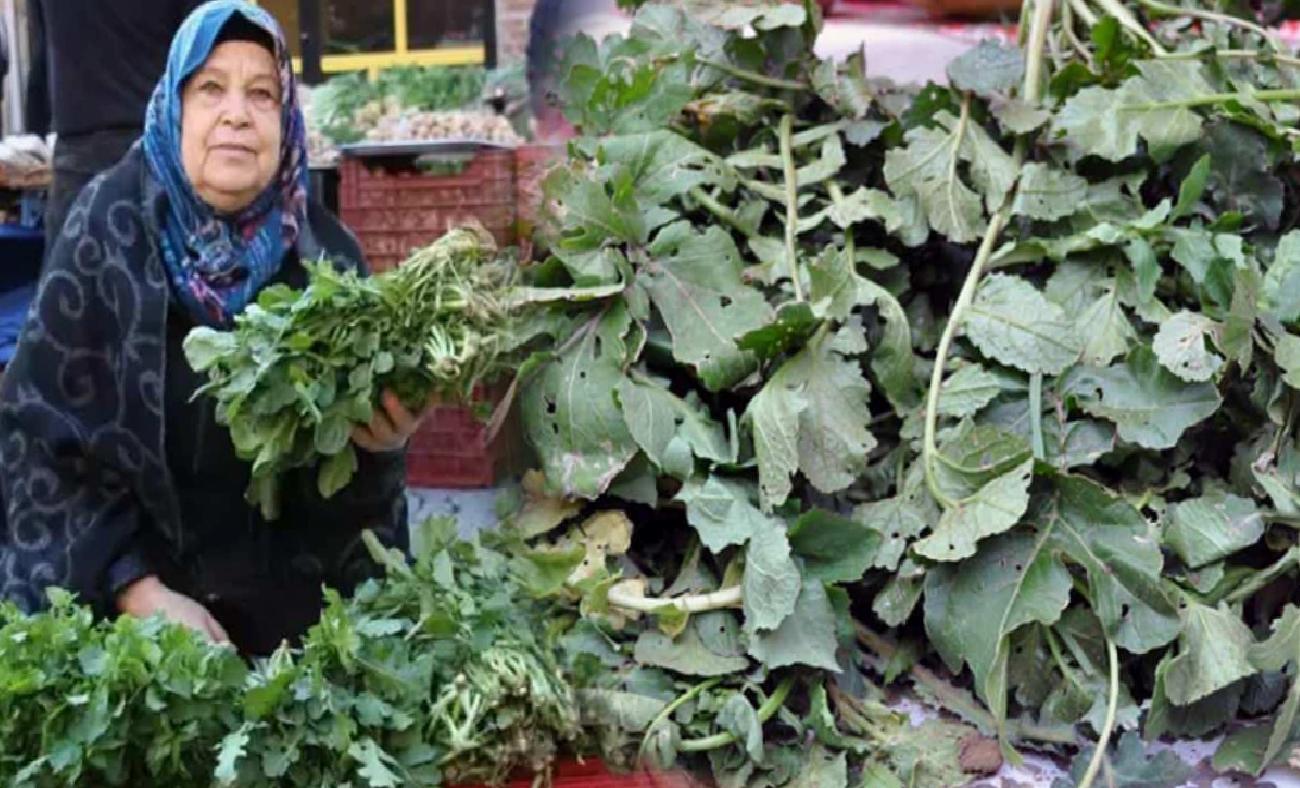 Turp Otu: Şifalı Bitki ve Faydaları