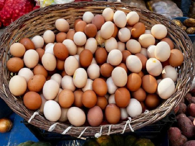 Yumurtanın Sağlık Üzerindeki Faydaları ve Tüketim Yöntemleri