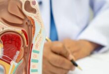 Cross-section anatomical model of the head showing ear and throat structures, with a clinician writing notes in the background.