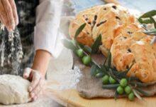 Hands kneading dough on a floured surface next to a rustic olive bread studded with olives and olive branches on a wooden board.
